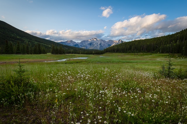 Parco Nazionale di Banff